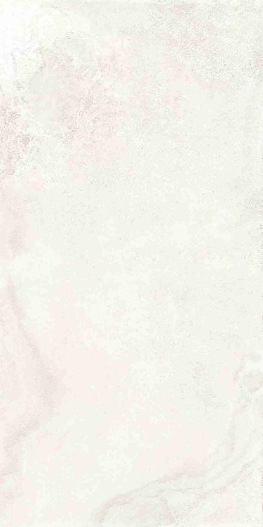 Petra Viva Bone Matte 24 x 48